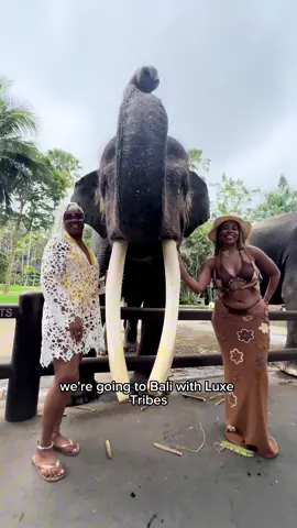 Thinking about planning a trip to Bali? 🌴✨ @Luxetribes group trips are perfect for Black women, solo travelers, and friend groups who want an unforgettable, stress free experience. From flights to transfers to excursions, they handle it all so you can just enjoy the vibes Luxe tribes partner. #balitravel #luxurytravel #grouptravel #blackgirlmagic #balitrip 