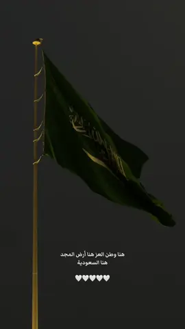 #السعودية #اليوم_الوطني_95 #saudiarabia 