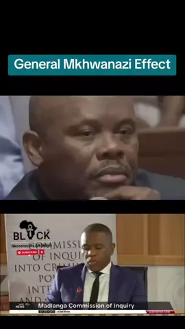 Mkwanazi Effect #nhlanhlamkhwanazi #madlangacommission #shadracksibiya #brownmogotsi #senzomchunu 