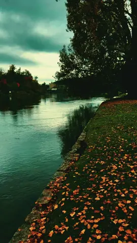 🫶🤲 الحمد لله دائما وأبدا🫶🤲