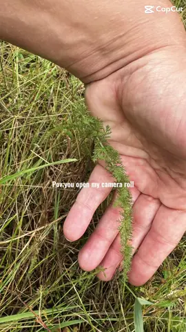#gooutside 