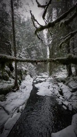 Labyrint of winter dreams  #labyrinth #kingwinter #dreams #soon #winterwillcome 