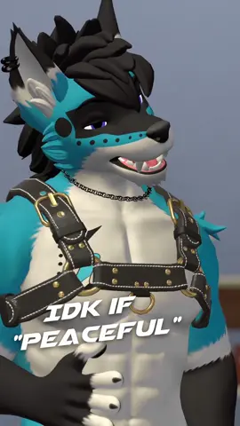 The average car guy experience. #furry #lgbt #kriegar #vrchat #VR 