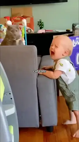 #funnycats #catsvideos 