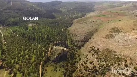 على دلعونة على دلعونتين🤍🤍 ماحدا مكيف غير جوز الثنتين😅😅 #مطرب_الجولان_أحمد_البداح_ابوسلطان 