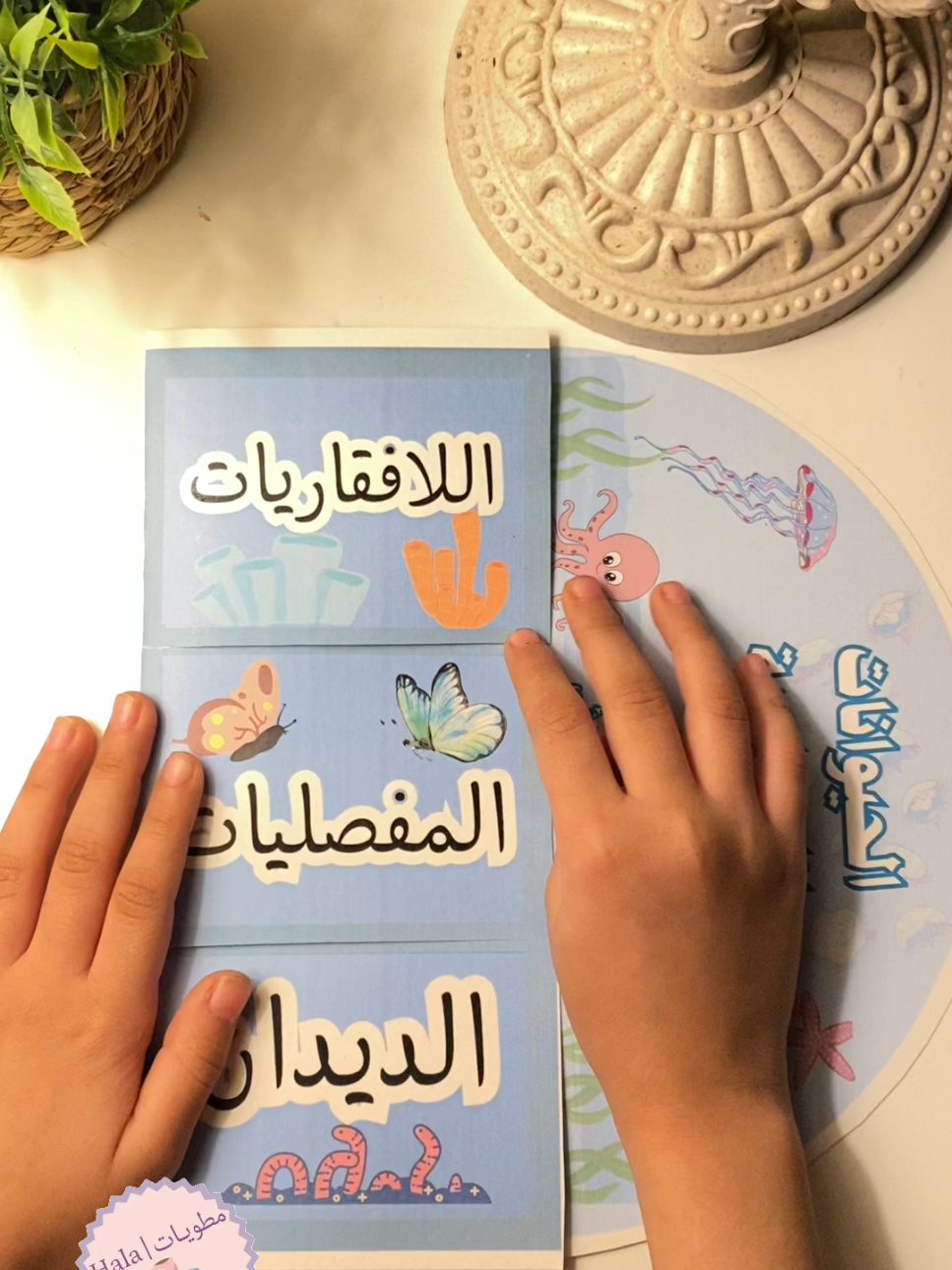 مطوية علوم الحيوانات اللافقاريه   الصف الرابع الابتدائي الفصل الاول  جاهزه للطباعه بجوده عاليه pdf#مطويه #مطوية #مطويات #خدمات_طلابية #مطويه_مدرسيه #مطويات_جاهزة_للطباعة #مطوية_علوم_رابع_ابتدائي #مطوية_الحيوانات_اللافقارية 