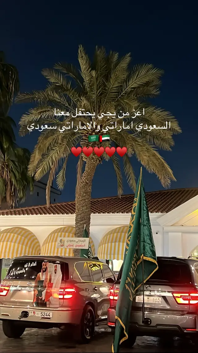 #93saudinationalday #الامارات_العربية_المتحده🇦🇪 #احتفالات #السعودية #fypシ 