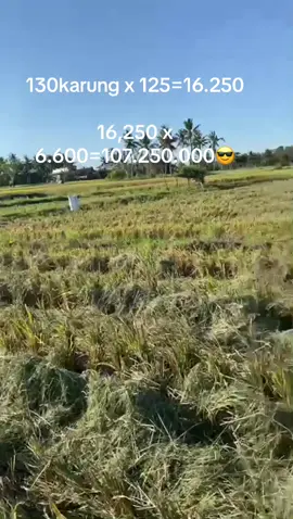 #fypp #anakpetani🌾 