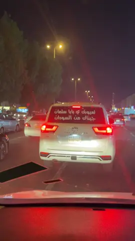 #المملكه_العربيه_السعوديه🇸🇦 #اليوم_الوطني_السعودي_95_🇸🇦⚔️ #الشعب_السوداني_العظيم🇸🇩❤️ #السودان #tiktok 
