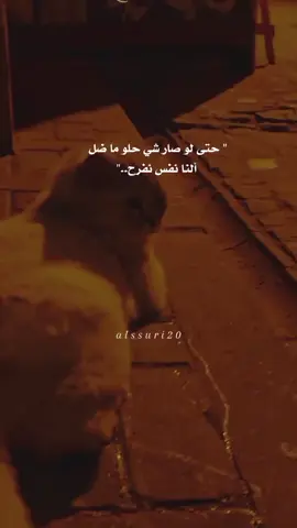 #مالي_خلق_احط_هاشتاقات 