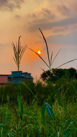 Beautiful 🤩 #viralvideo #dubai #foryou #video #beautifulplaces 