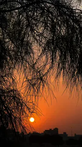 لي في ذمتك اعوام مسروقة واحلامُ، اكلها الصدأ ..!#تصويري📸 #موسيقى #اكسبلورexplore #طرب #explore 