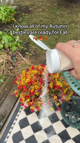 This is given very much for vibes  #fallingleaves  #CarpetFreshener  #FallVibes  #fallscents  #smellgood  