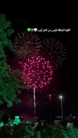 #السعودية_العظمى🇸🇦 #93saudinationalday #عزنا_وفخرنا #السعودية🇸🇦 #💚💚💚 