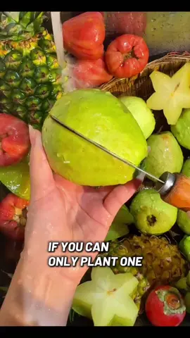 #tiktokshop #TikTok #fyp #goodthing 