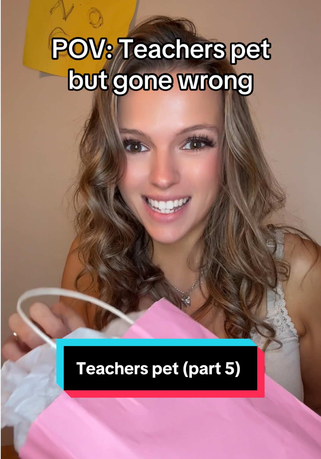 Part 5. #pov #meangirls #teacherspet #newgirl 