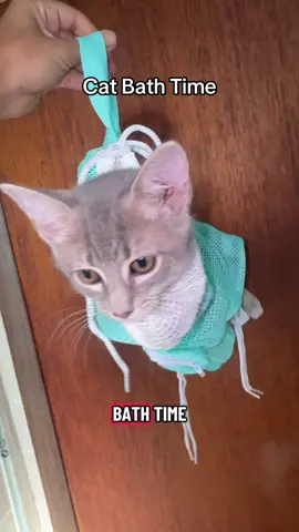 #catbath #catbathing #catbag #tiktokshoprestock #tiktokshopfalldealsforyou 