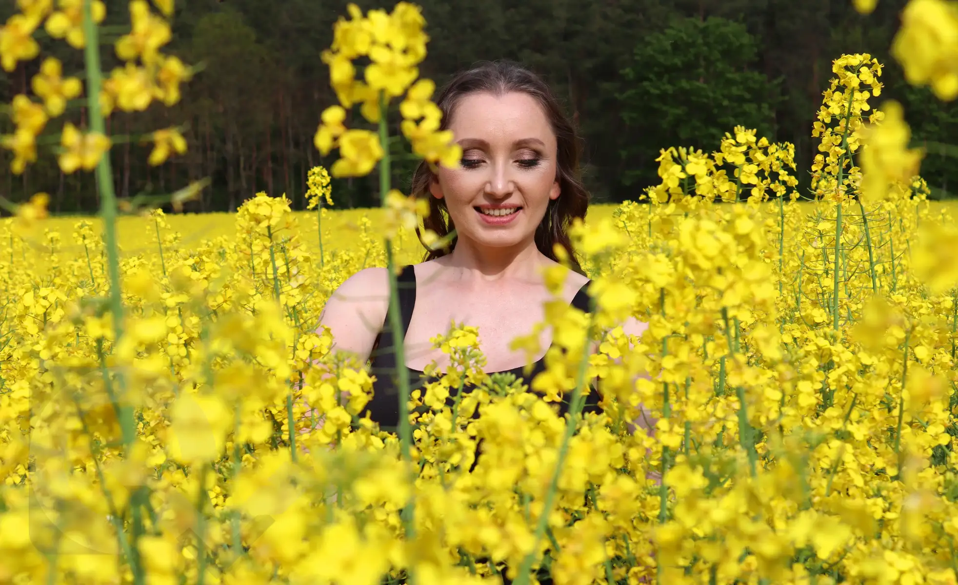 #inflowers #yellowflowers #smileinflowers 