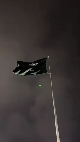 اليوم الوطني السعودي 💚 #السعوديه 