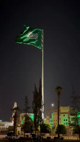 #اليوم_الوطني #95 #السعودية #ابها 