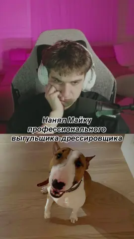 Twitch: evelone2004 #evelone #evelone192 #плохойпарень #plohoyparen #хазяева 