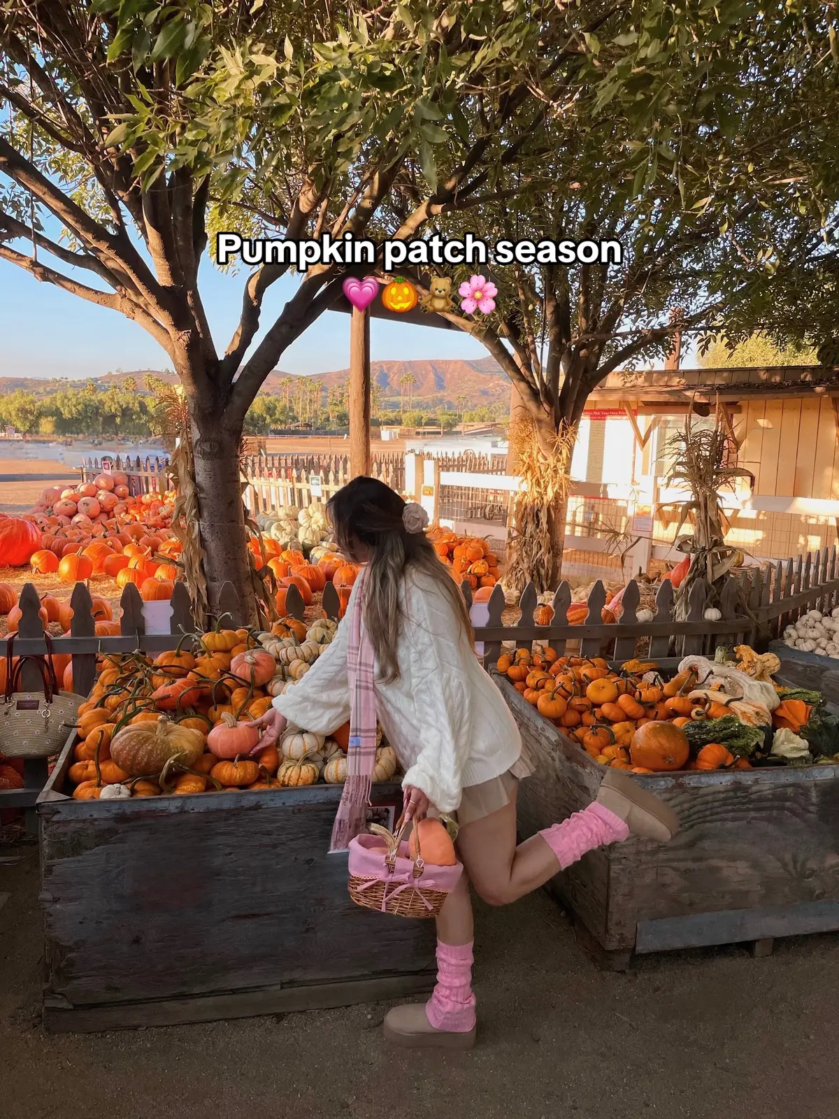 Happy first day of fall, come get the cutest pumpkins with me @underwoodfamilyfarms 🎃🍁 #pumpkinseason #pumpkinpatch #pumpkinpatchoutfit #pinkgirlfall #girlyfalloutfits #cozyfalloutfits #fallfashion 