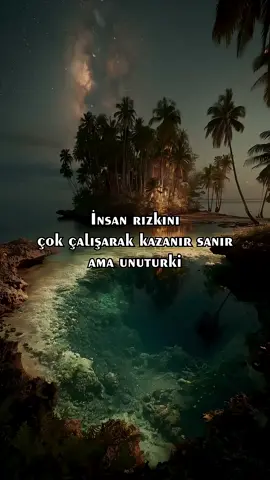 Ankebut Suresi 60. Ayetinden ilhamla#Allah #kuran #islam #dua #aşk 