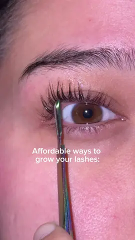 Affordable way to grow your lashes ✨ #lashes #eyelashgrowth #lashserum #fyp 