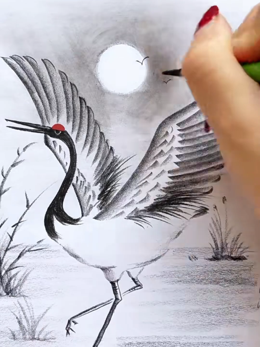 Let's draw with pencil ✏️....... #foryou #foryoupage #unfreezemyacount #viral #fyp 
