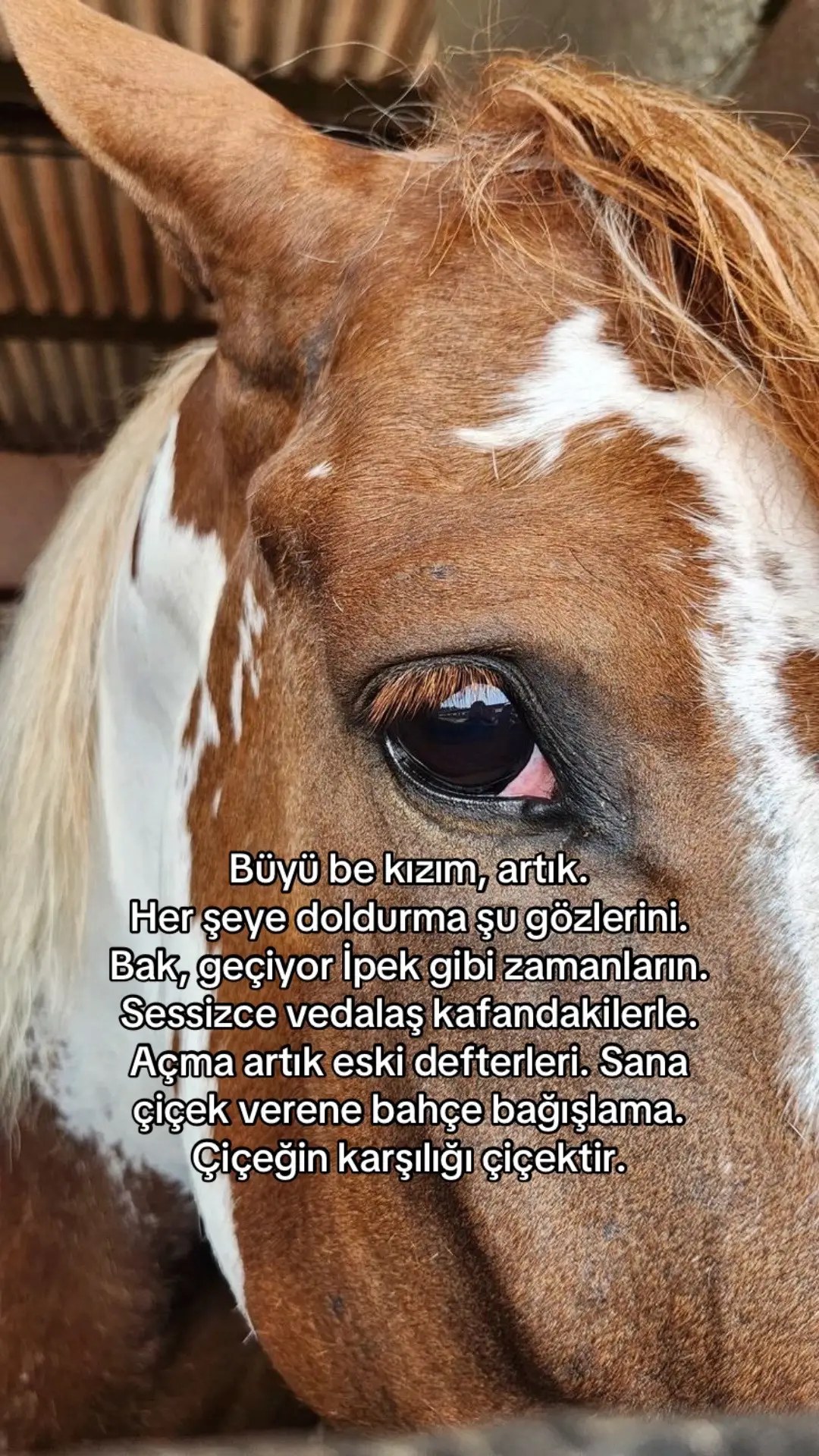 #fypシ゚ #keşfetduası🤲🏻🧕🏻lütfentutsun #keşfetteyizzz #kesfet 