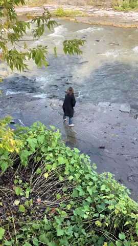 Helping out the salmon  #fyp #salmonrun #2025