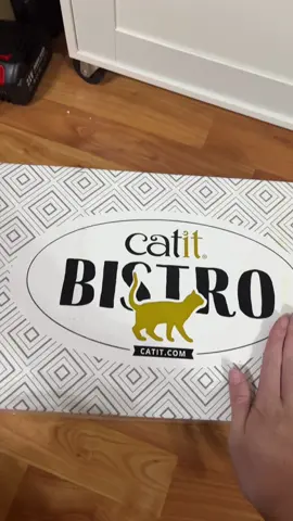 wilson LOVES these so much he absolutely goes crazy and licks every thing out of the cup #catitbistro #bistrodining #catsoftiktok #foryou #zyxcba 