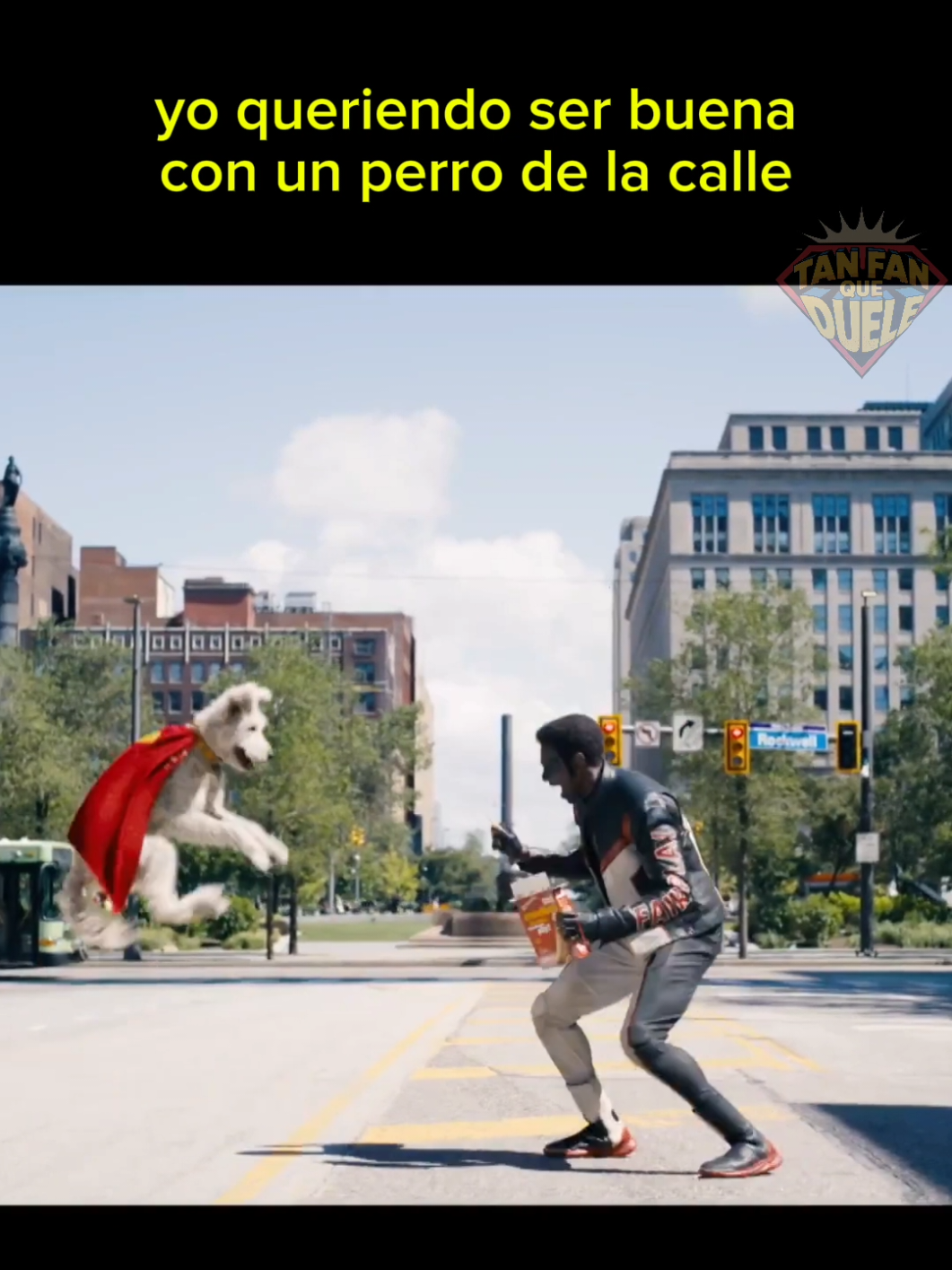 yo queriendo ser buena con un perro de la calle 🤪 Las poquitas Interacciones de Mr. Terrific con Krypto son de mis favoritas🫶 . . #dc #humor #mrterrific #krypto #superman