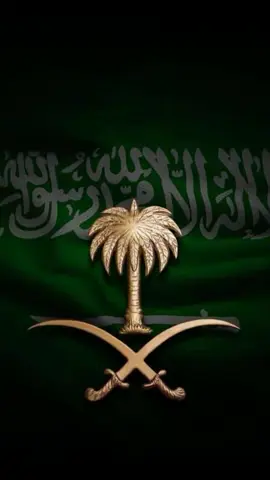 #اليوم الوطني السعودي#CapCut #سعوديه #🇸🇦