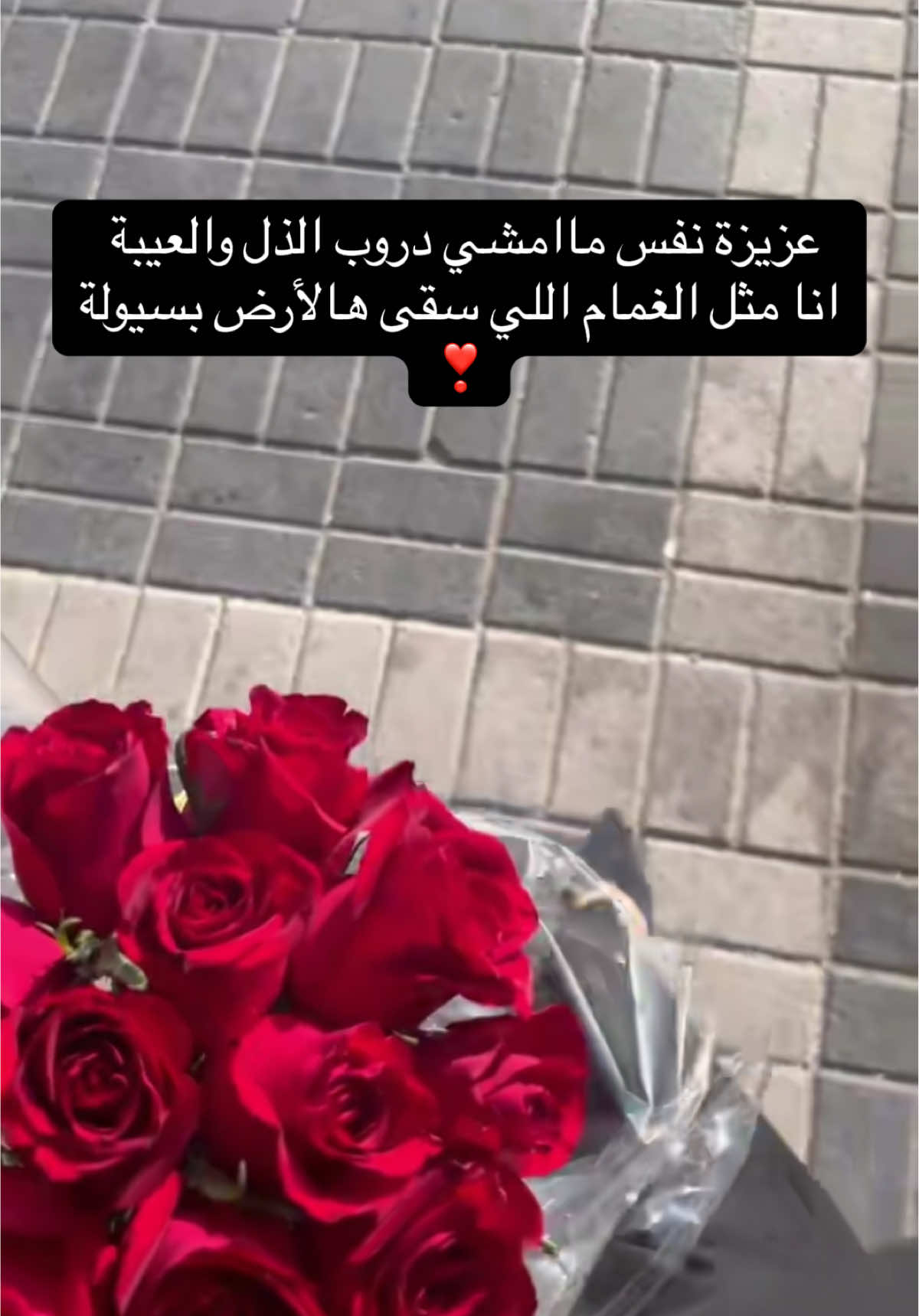 #سعودية #جنوبية_وافتخر #explore_foryou #الشعب_الصيني_ماله_حل😂😂 #ترندات_تيك_توك 