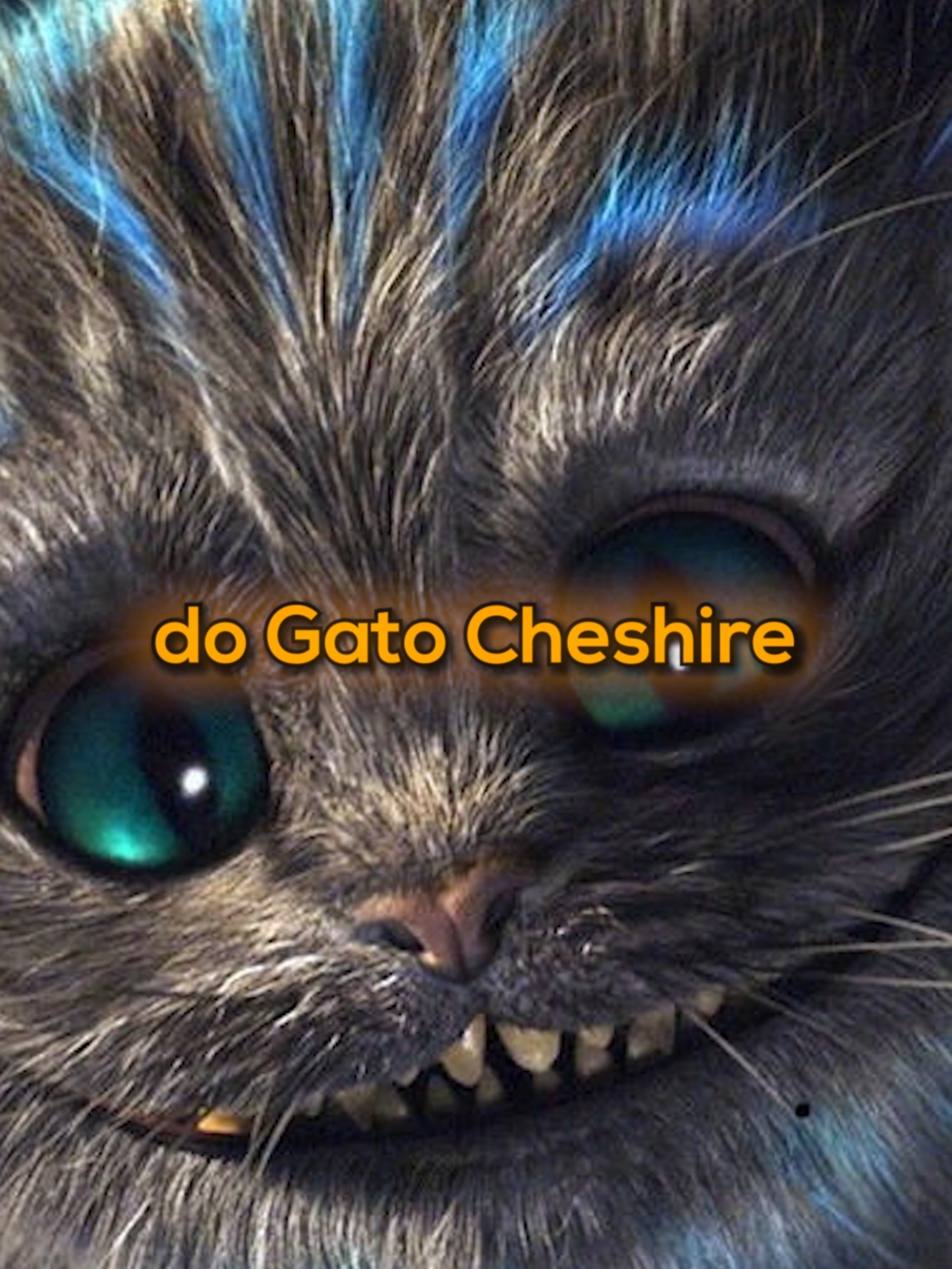 A BIZARRA MODA DO GATO CHESHIRE!!! #gato #cheshire #cheshirecat #memes #alicenopaisdasmaravilhas