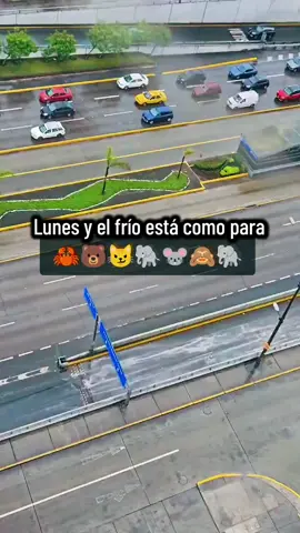 un lunes muy frío 🥶❄️❄️❄️🇵🇪 #peruanita🇵🇪  #peruana🇵🇪  #peru🇵🇪  #perú🇵🇪  #limaperu🇵🇪 