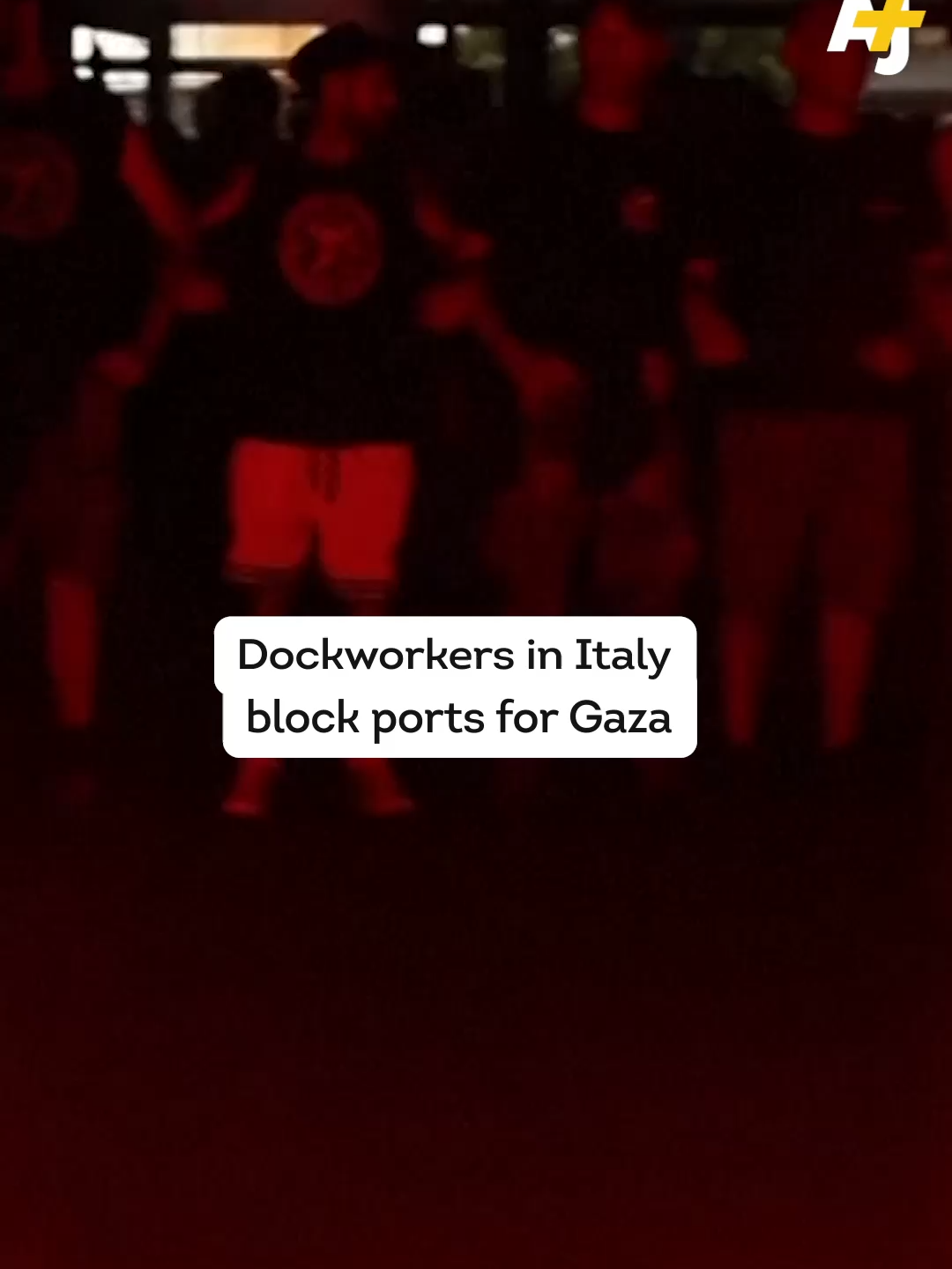 Dockworkers across Italy are shutting down ports, demanding that their government stop allowing arms shipments to Israel. #Italy #Gaza #Palestine #Workers #Strike #Protest #Union #CALP
