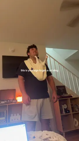 #catsoftiktok 