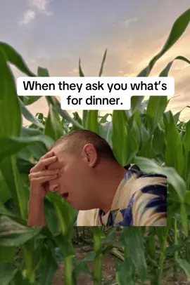 The most hated question in my opinion. 🤣 #fyp #relatable #dinner #whatsfordinner #hate 