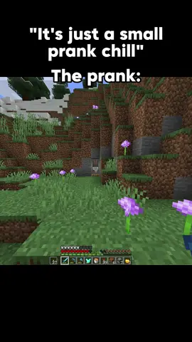 Small prank?💔 #Minecraft #minecraftmemes #minecraftmeme #prank 