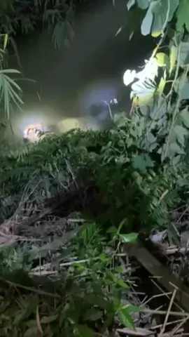 buaya kembali lepas #buaya #viral #trending #tiktok #fyp 