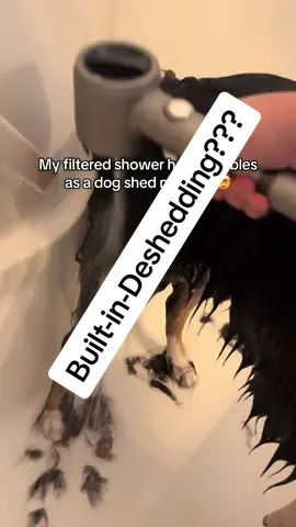 WOW. I had no idea this shower head could do this. So cool!  #deshedding #filteredshowerhead #doggroomingtips #doggrooming #tiktokshoprestock 