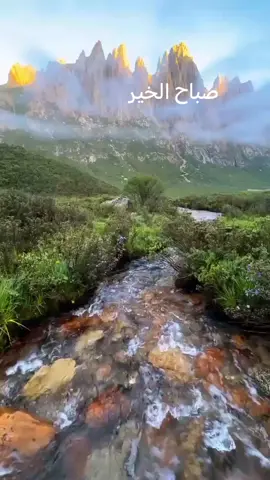 #صباح الخير 