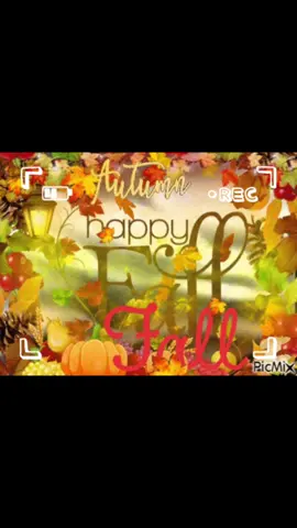 My favorite time of the year #firstdayoffall #fall #fallweather 