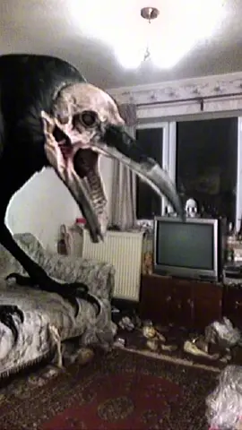 Left the window open again. #analoghorror #horror #nightmarefuel 