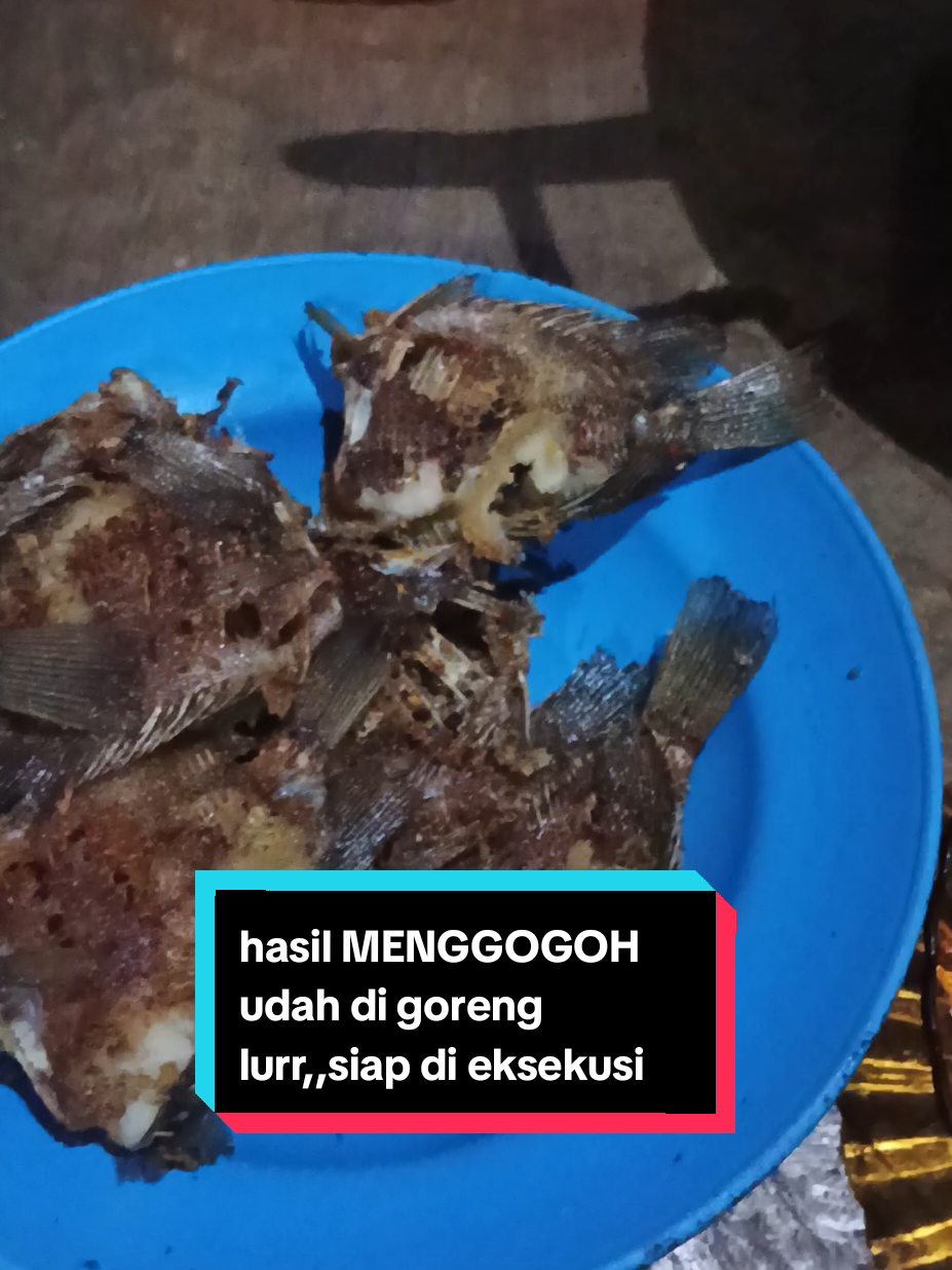 ayok di nikmati hasil mbolang lurrr,,,,#ikan 