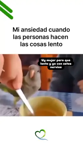 #paratiii #humor #paratiiiiiiiiiiiiiiiiiiiiiiiiiiiiiii #comedia #cat 