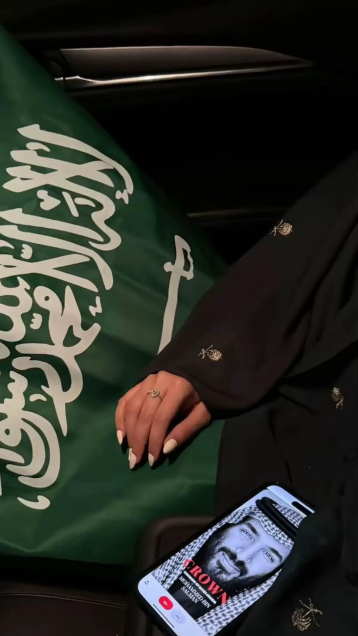 #اكسبلورexplore #اليوم_الوطني_السعودي_٩٥_95 #95💚💚💚💚💚💚 