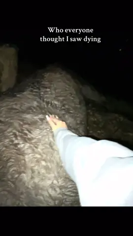 I remember the first time we brought you home we were all excited and it took a lil whole for the other horses to get along with you lmaooo, miss you sm my sweet boy  